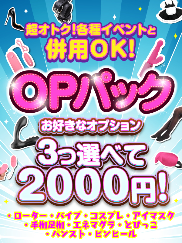 五反田ぽっちゃり風俗 BBW OPパック