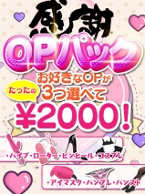五反田ぽっちゃり風俗 BBW オプション