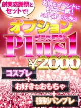 五反田ぽっちゃり風俗 BBW プラス1