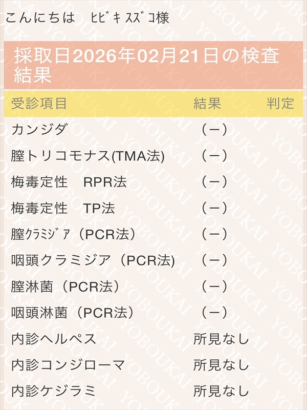 名古屋ぽっちゃり風俗 BBW 響