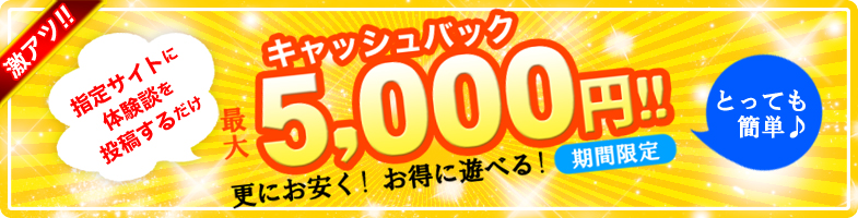 西川口ぽっちゃり風俗 BBW口コミ