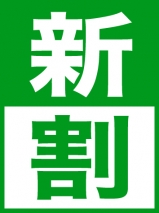 西川口ぽっちゃり風俗 BBW 新人割