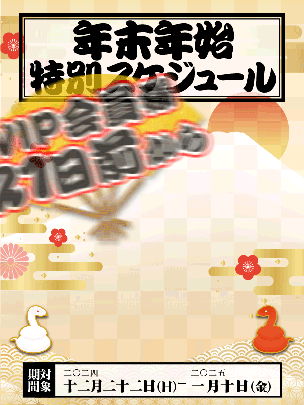 新大久保ぽっちゃり風俗 BBW 