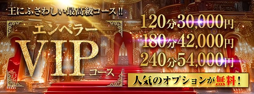 新大久保ぽっちゃり風俗 BBWエンペラーVIP