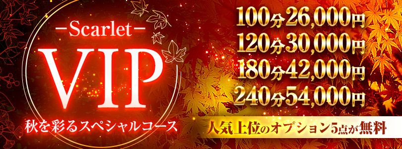 新大久保ぽっちゃり風俗 BBW【期間限定】Scarlet VIP!!100分 26000円★人気のオプション5つが全て無料