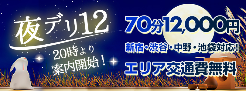 新大久保ぽっちゃり風俗 BBW夜デリ12
