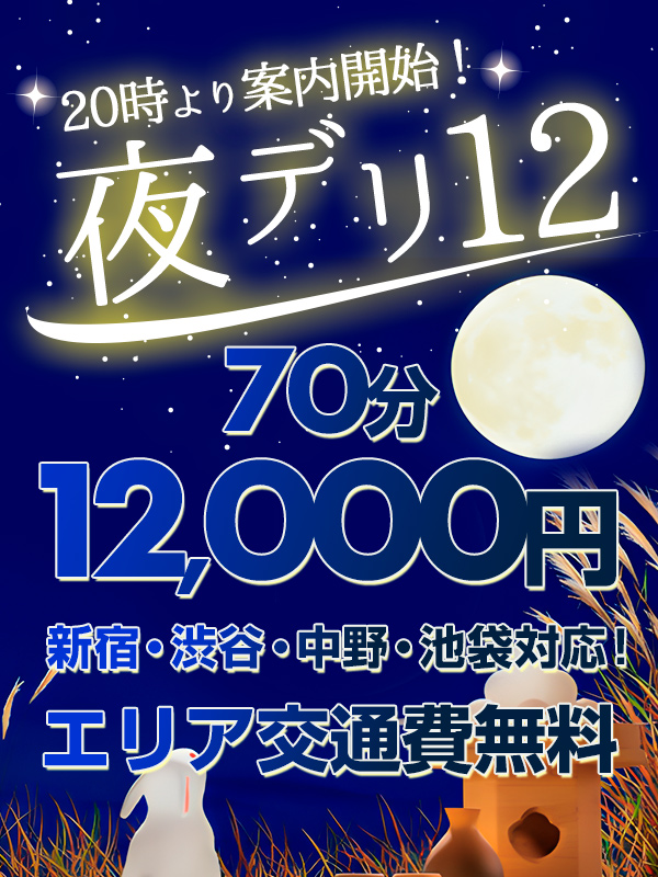 新大久保ぽっちゃり風俗 BBW 夜デリ12