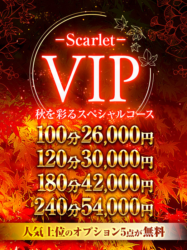 新大久保ぽっちゃり風俗 BBW 【期間限定】Scarlet VIP!!100分 26000円★人気のオプション5つが全て無料