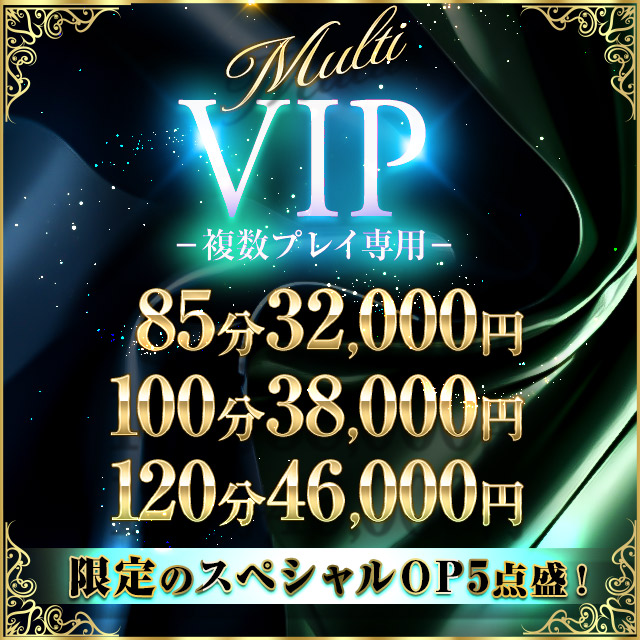 複数プレイ専用★Multi VIP